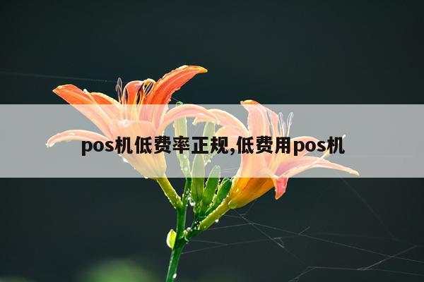 pos机低费率正规,低费用pos机