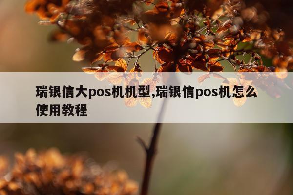 瑞银信大pos机机型,瑞银信pos机怎么使用教程