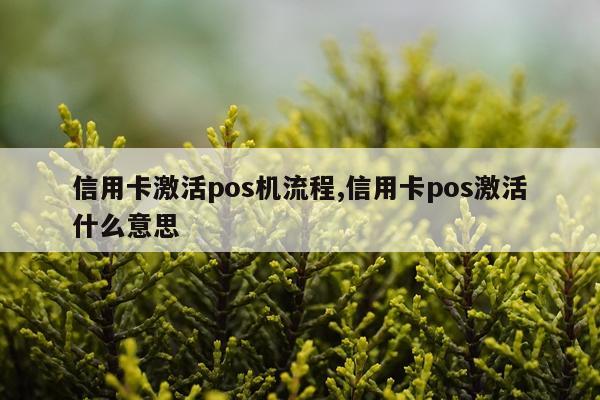 信用卡激活pos机流程,信用卡pos激活什么意思