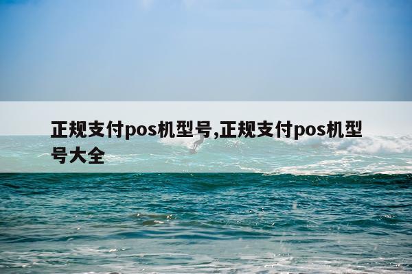 正规支付pos机型号,正规支付pos机型号大全
