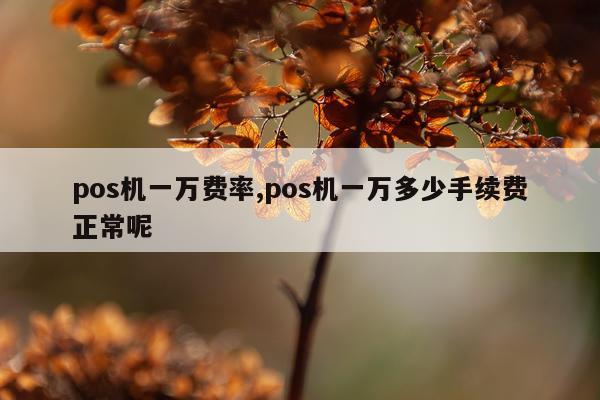 pos机一万费率,pos机一万多少手续费正常呢