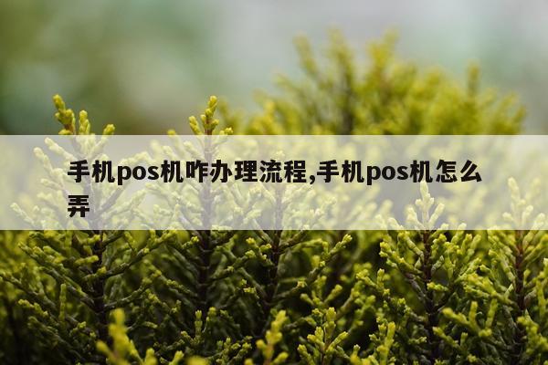 手机pos机咋办理流程,手机pos机怎么弄