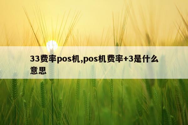 33费率pos机,pos机费率+3是什么意思