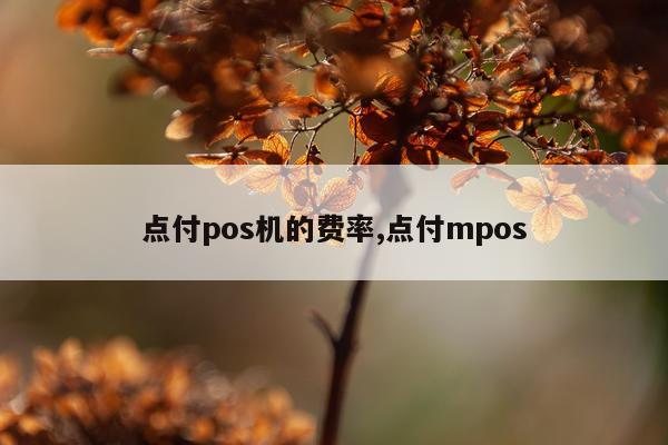 点付pos机的费率,点付mpos