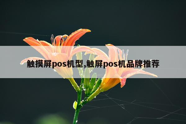 触摸屏pos机型,触屏pos机品牌推荐
