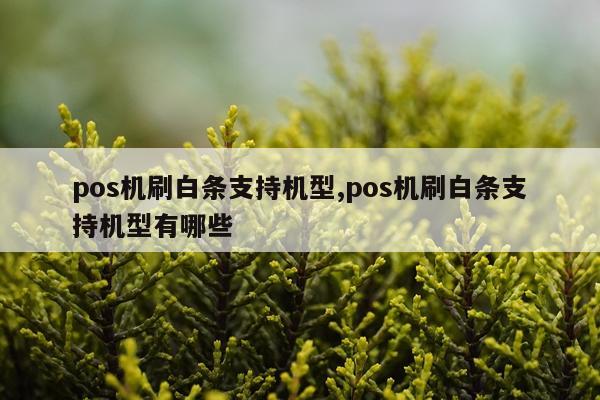 pos机刷白条支持机型,pos机刷白条支持机型有哪些