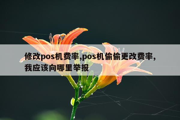 修改pos机费率,pos机偷偷更改费率,我应该向哪里举报