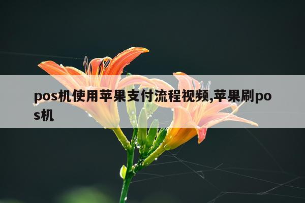 pos机使用苹果支付流程视频,苹果刷pos机