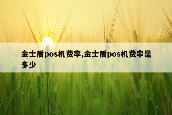 金士盾pos机费率,金士盾pos机费率是多少