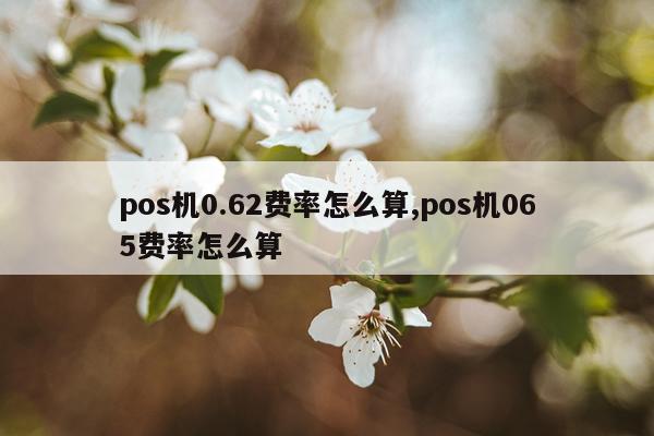 pos机0.62费率怎么算,pos机065费率怎么算