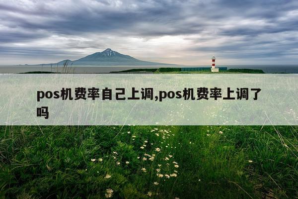 pos机费率自己上调,pos机费率上调了吗