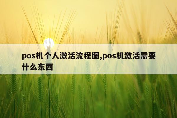 pos机个人激活流程图,pos机激活需要什么东西