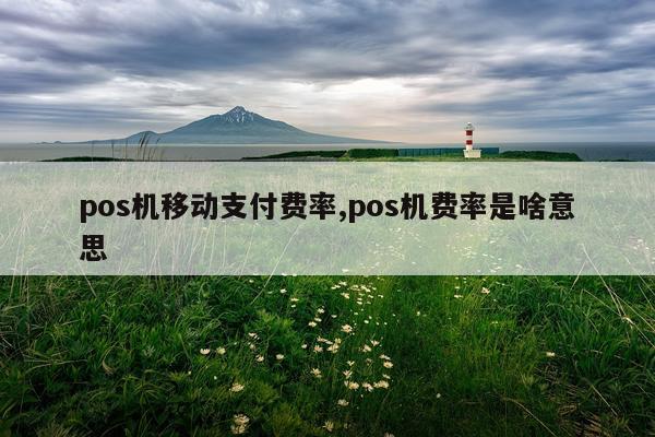 pos机移动支付费率,pos机费率是啥意思