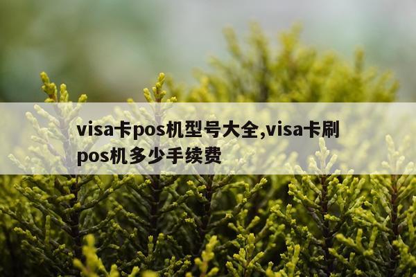 visa卡pos机型号大全,visa卡刷pos机多少手续费