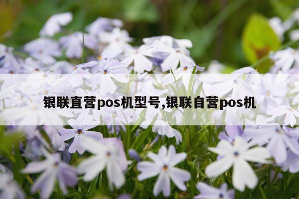 银联直营pos机型号,银联自营pos机