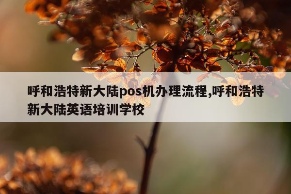 呼和浩特新大陆pos机办理流程,呼和浩特新大陆英语培训学校