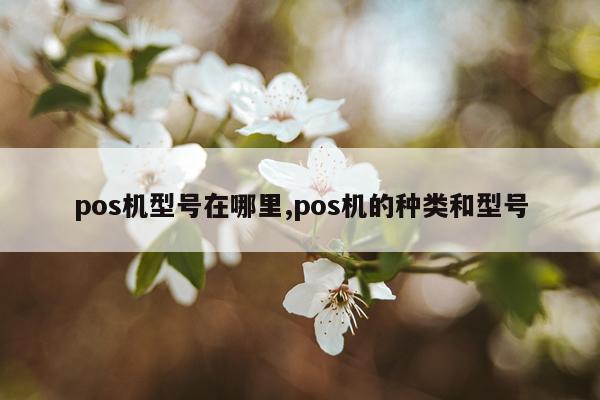 pos机型号在哪里,pos机的种类和型号