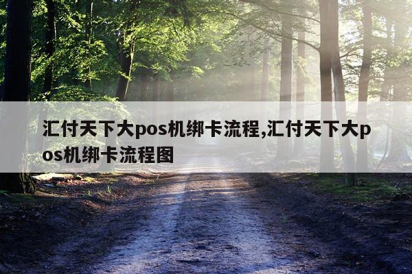 汇付天下大pos机绑卡流程,汇付天下大pos机绑卡流程图