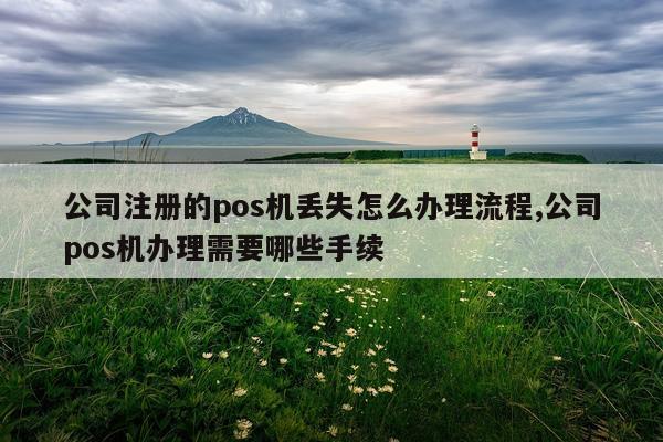 公司注册的pos机丢失怎么办理流程,公司pos机办理需要哪些手续