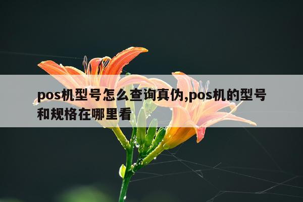pos机型号怎么查询真伪,pos机的型号和规格在哪里看