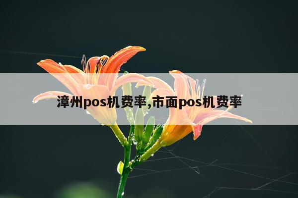 漳州pos机费率,市面pos机费率