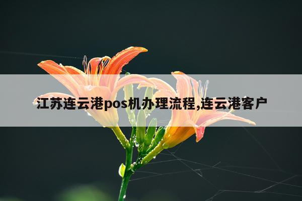 江苏连云港pos机办理流程,连云港客户