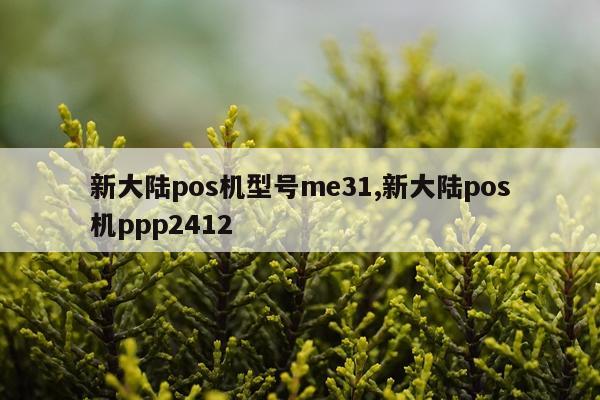新大陆pos机型号me31,新大陆pos机ppp2412