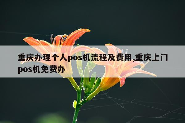 重庆办理个人pos机流程及费用,重庆上门pos机免费办