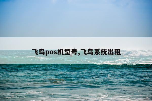 飞鸟pos机型号,飞鸟系统出租