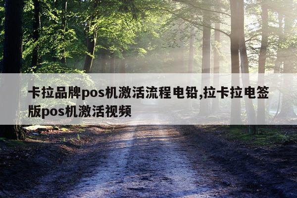 卡拉品牌pos机激活流程电铅,拉卡拉电签版pos机激活视频