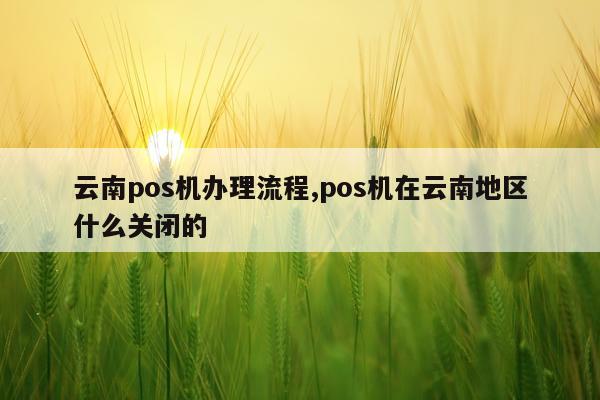 云南pos机办理流程,pos机在云南地区什么关闭的