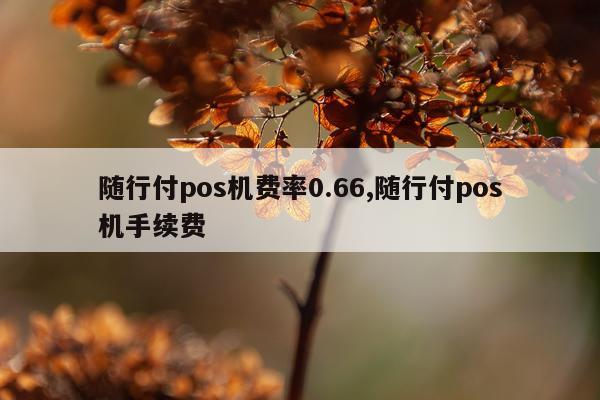 随行付pos机费率0.66,随行付pos机手续费