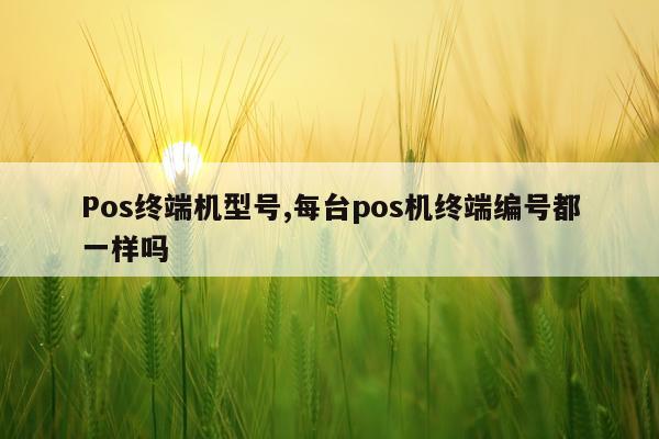 Pos终端机型号,每台pos机终端编号都一样吗