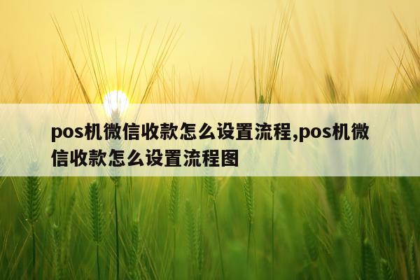 pos机微信收款怎么设置流程,pos机微信收款怎么设置流程图