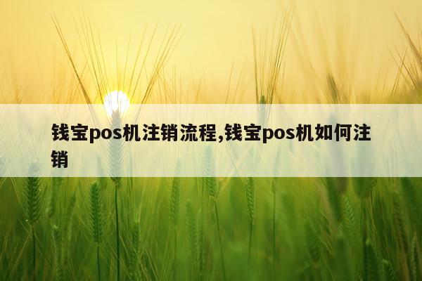 钱宝pos机注销流程,钱宝pos机如何注销