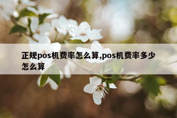 正规pos机费率怎么算,pos机费率多少怎么算