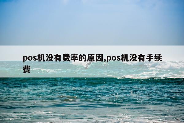 pos机没有费率的原因,pos机没有手续费