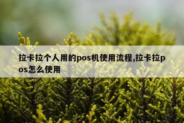 拉卡拉个人用的pos机使用流程,拉卡拉pos怎么使用