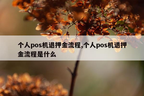 个人pos机退押金流程,个人pos机退押金流程是什么