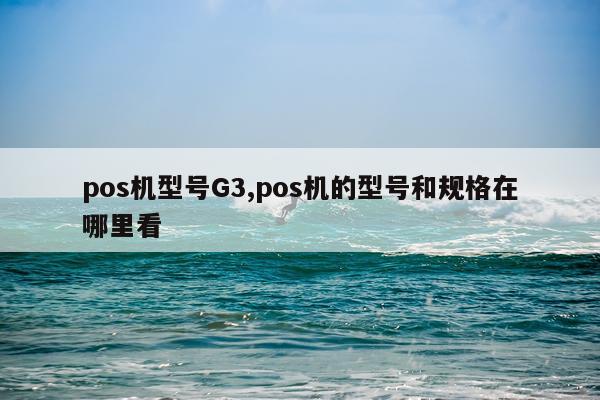 pos机型号G3,pos机的型号和规格在哪里看