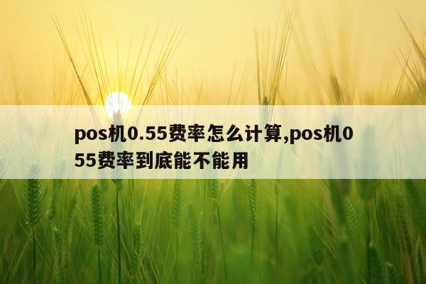 pos机0.55费率怎么计算,pos机055费率到底能不能用