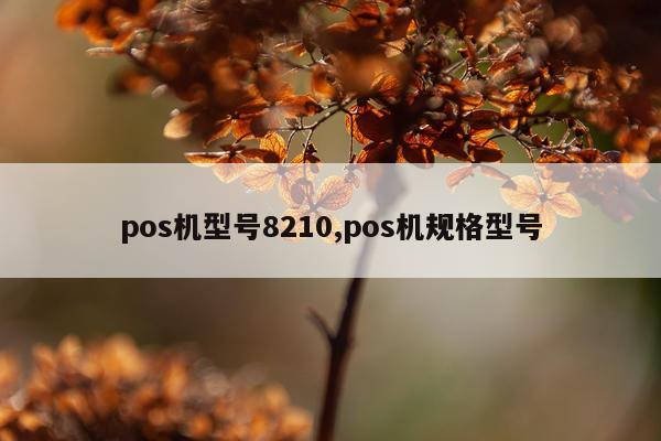 pos机型号8210,pos机规格型号
