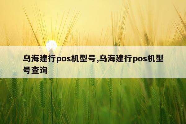 乌海建行pos机型号,乌海建行pos机型号查询