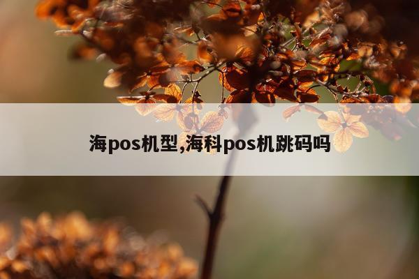 海pos机型,海科pos机跳码吗