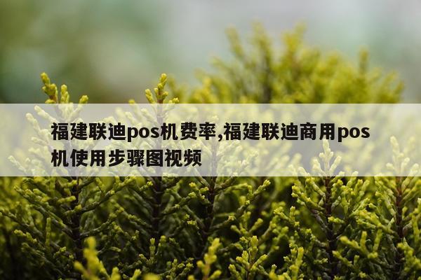福建联迪pos机费率,福建联迪商用pos机使用步骤图视频