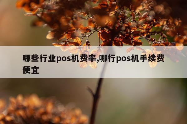 哪些行业pos机费率,哪行pos机手续费便宜