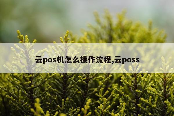 云pos机怎么操作流程,云poss