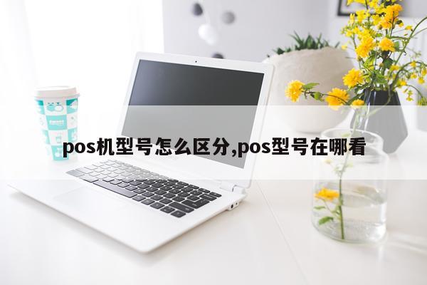 pos机型号怎么区分,pos型号在哪看