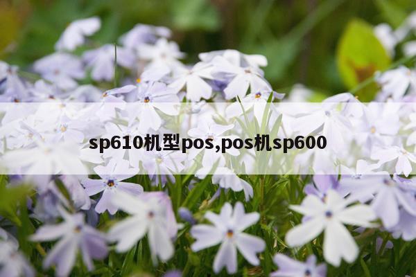 sp610机型pos,pos机sp600