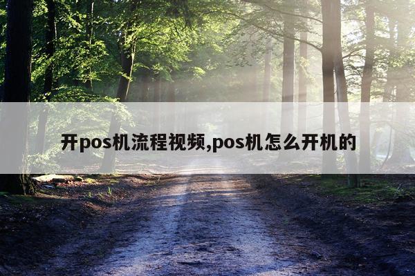 开pos机流程视频,pos机怎么开机的